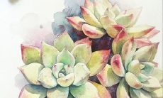 在生活中，存在着不需要依靠友情的独立句子