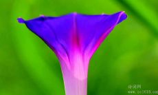 优美感人的高中班级励志名言，为你的学习生涯注入激励动力！