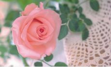 一份能让你爱人心碎的2022年赠言合集：献上最温馨感人的句子，让TA倍感爱意、心领神会！