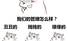 万象，创意无限，飞跃梦想的队名和口号完整汇总，让你感受阳光般璀璨的灵感世界！