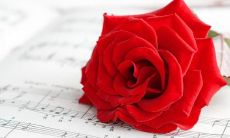 充满浪漫气息与祝福的8个字寄语