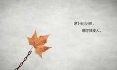 掩饰情感的表达：流露婚姻失望的含蓄句子