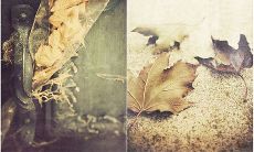 深感失望并失去彼此感情的那些句子，诉说内心的滞涨情绪