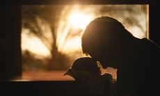 如何用句子表达和传递亲情的感受？一篇有关亲情的句子排序教你如何诉说爱的情感