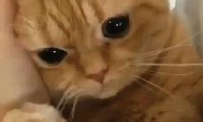 惹人心痛的委屈句子配上无比悲伤的图片：那些让人不禁落泪的话