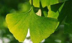 寻找内心欢乐的秘密：传达开心的句子！