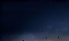 当揭开真相后，内心深受创伤的言语