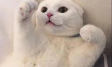 足以引爆心灵的超级萌态微信昵称