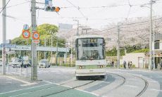 用唯美句子描绘阳春三月的美景及其优美气息