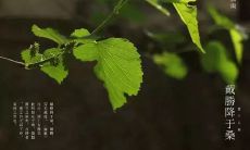 谷雨时节，谷雨祭拜传统文化，谷雨发朋友圈记录感悟分享，铭刻中华文化传承精髓
