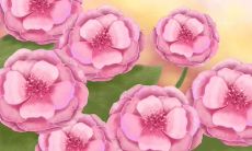 感人，值得细品深思的友情句子，用文字将深厚的情感表达得淋漓尽致