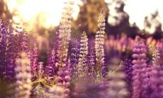 一些有趣的句子，让你在喝醉的时候更加开心