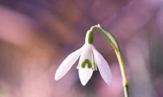 充满真挚愉悦的句子，源自内心深处的喜悦！