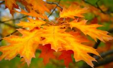 推荐几个避免使用的不开心的句子，劝人不要采用这些语言表达