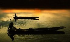 感人至深的古风句子，描述痛苦难忍的亲情分离时的悲伤和思念