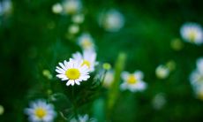 用形容词的句子描述会让人开心的交谈经历