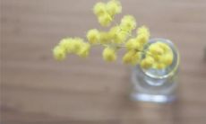 经历过情侣之间不开心的人分享的有感悟的关于爱情的句子