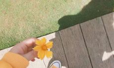 与艺术气息相融合的优美句子，更加典雅和深刻