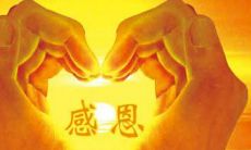 无私付出的爱与帮助：表达感恩之情的最美句子