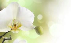 亲情的珍贵及简单真谛：感人的话语描述