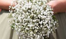 生命中最珍贵的财富：关于亲情的至理名言和动人语句