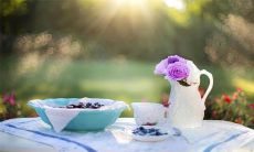 一句深刻而美妙的话，表达了人类中最强烈、最独特的情感 - 亲情