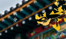 分享30句唯美的秋分心情句子，让你的朋友圈更加有气质和情趣