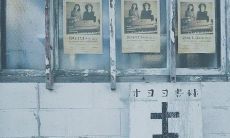 表达浓烈感激之情的优美富有格调的句子