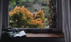 经历心痛与感悟，探究人生意义：分享几句发人深省的心情感悟