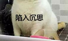 惊奇非凡、离奇诡异的荒诞文案令人咋舌