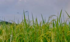 如何撰写能引起人心动的夏季文案？如何编写能让人期待和想要分享的夏季社交媒体文案？