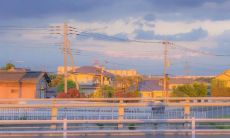 50条夏日必读的适合夏天的句子，让你感受耳畔的清凉和心间的温暖