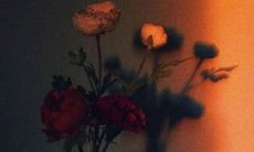 普普通通却鲜活跃动的文案，如此吸睛让你惊叹良久！