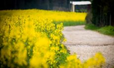 十一月快乐计划：我要用开心的句子让每一天都充满幸福喜悦