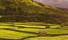 享受奋斗过程，尽情加班，迎接胜利