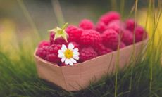 展现强势品格的激励语句：刺激你奋斗的冷嘲热讽，让你咬牙坚持的激励文案