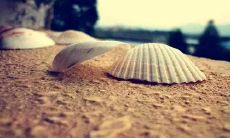 期不发朋友圈的人必备！优雅吸睛的绝佳句子，让你分享时更加有魅力！