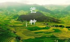 汇总2022年芒种节气的各地谚语及含义，打造最全面的芒种节气谚语大全