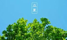 探秘万物生机的美妙之际——优美的句子描绘立夏的盛景