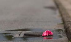 铭记心底的人生疼痛与无望的痛楚：一系列令人心碎的语句