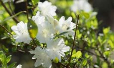 感恩班级带给我温暖和支持的句子，让我们一起回顾这些伟大的班级文化表达