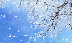 在下雪的日子里，感到无尽烦躁的句子