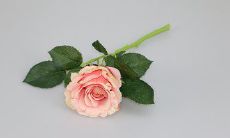 让我们铭记心中感激之人：感恩你想要表达谢意的那些特别的人们