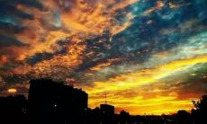 妙笔生花：百句感恩句子，表达心中感激之情，弘扬感恩精神的美好力量