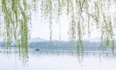 感恩所有曾教育过我们的恩师：给我们带来无尽的知识、智慧和成长的启示！