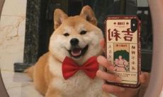 精选经典且妙趣横生的句子，让你畅游文学海洋