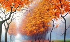 经历疲惫不堪的工作日子：郁郁不得志，心烦意乱的表达