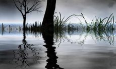 尊敬与感激：表达对外婆无限感恩之情的心灵句子