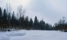 用感恩知足的态度过更美好的生活——饱含智慧的句子