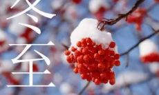 而又精准的冬至描述集锦：赏析凛冽寒霜带来的寂静与祥和